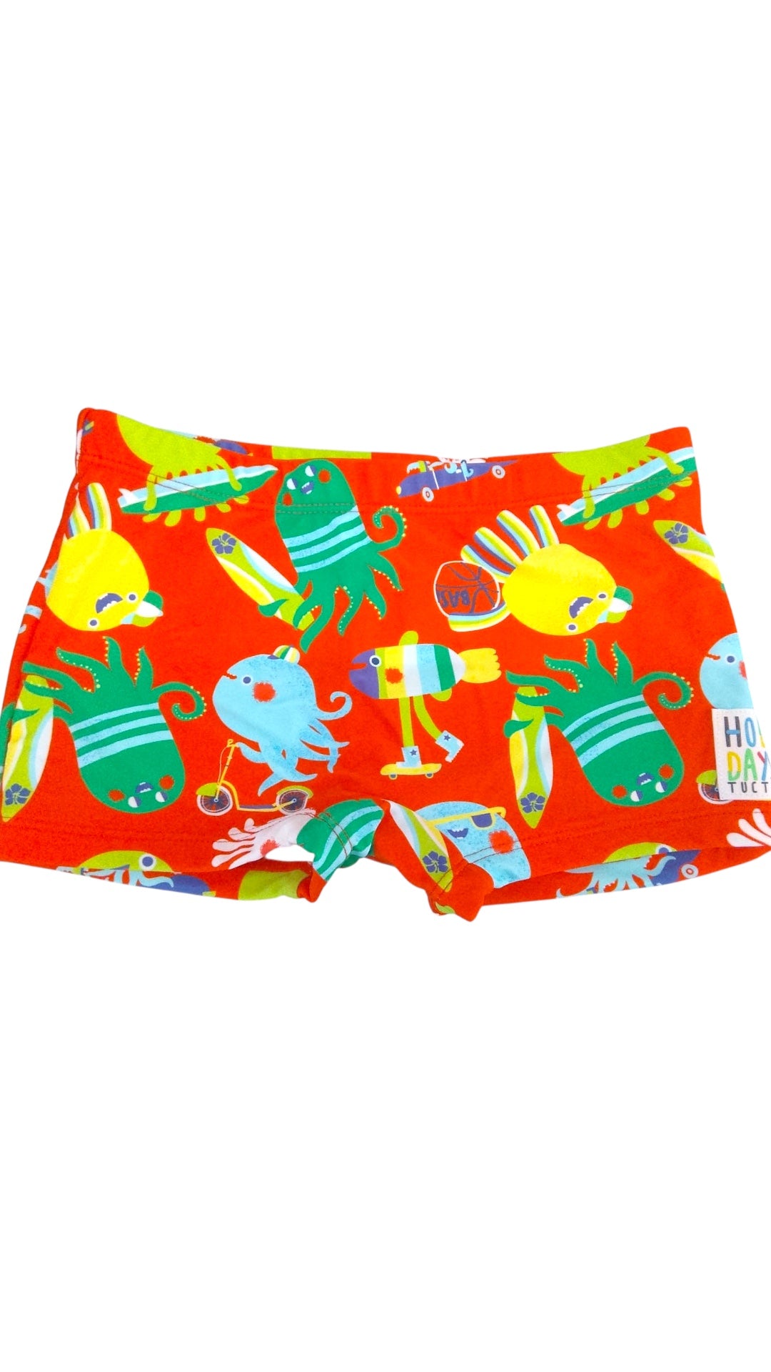 Boxer polipetti tuc tuc