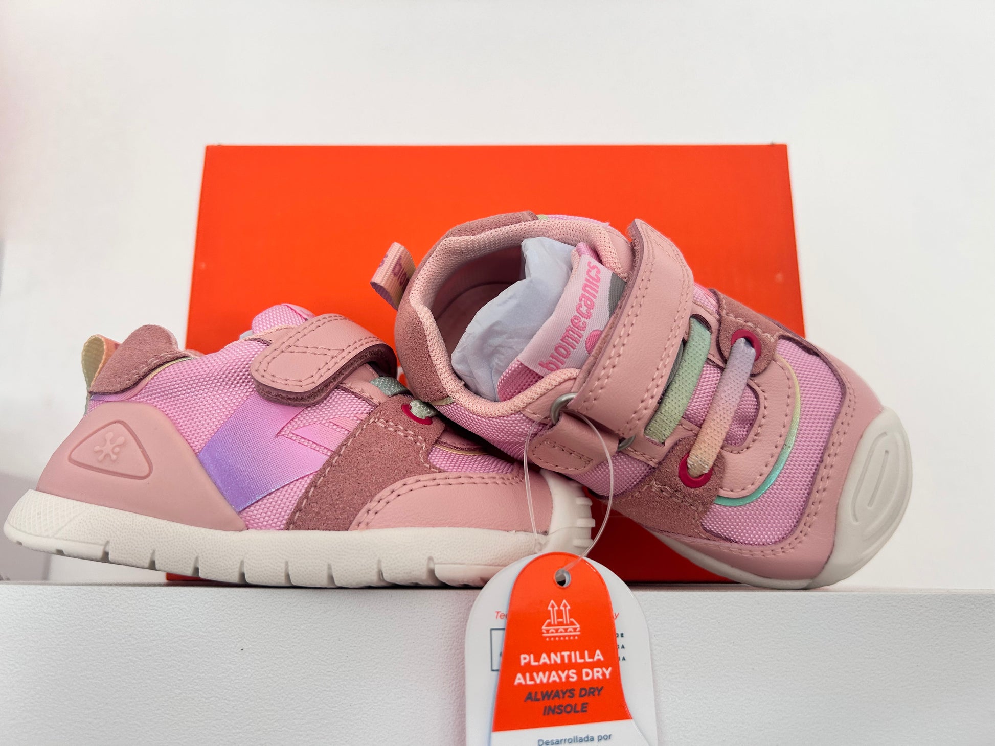 Sneakers Biomecanics